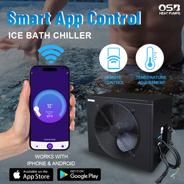 Cold Plunge with Chiller and Filter Indoor Outdoor Ice Tub Immersion Therapy